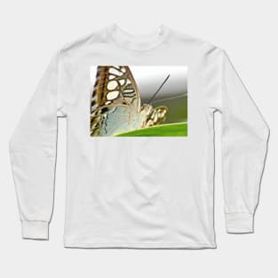 Clipper Butterfly Long Sleeve T-Shirt